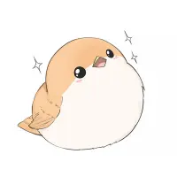 Oyka